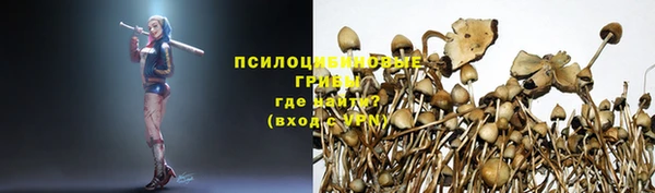 хмурый Саяногорск