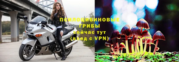 хмурый Саяногорск
