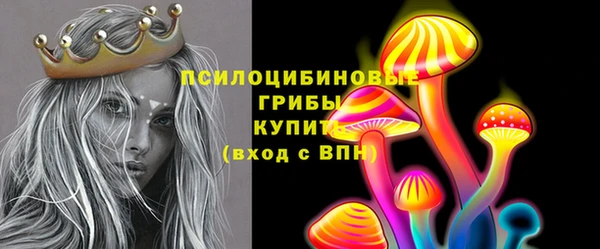 Альфа ПВП Сатка