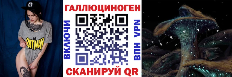 Галлюциногенные грибы прущие грибы  дарк нет формула  Кедровый  дарнет шоп 